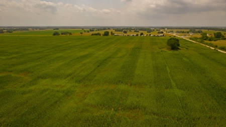 Farm & Ranch For Sale in Cedar County, MO - Auction - image 25