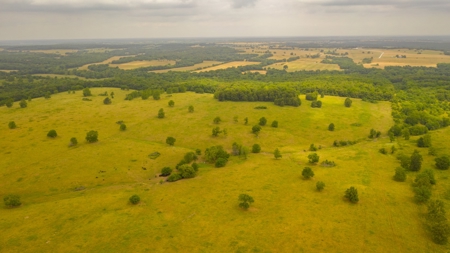 Farm & Ranch For Sale in Cedar County, MO - Auction - image 22