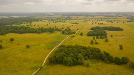 Farm & Ranch For Sale in Cedar County, MO - Auction - image 42