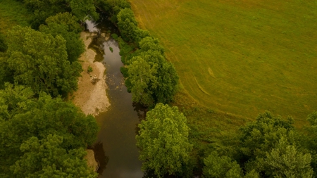 Farm & Ranch For Sale in Cedar County, MO - Auction - image 41