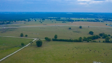 Farm & Ranch For Sale in Cedar County, MO - Auction - image 37