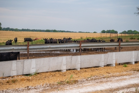 Farm & Ranch For Sale in Cedar County, MO - Auction - image 16