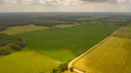 Farm & Ranch For Sale in Cedar County, MO - Auction - image 29