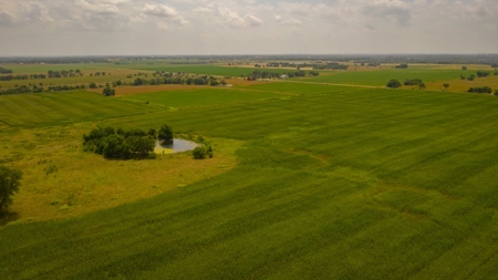 Farm & Ranch For Sale in Cedar County, MO - Auction - image 28