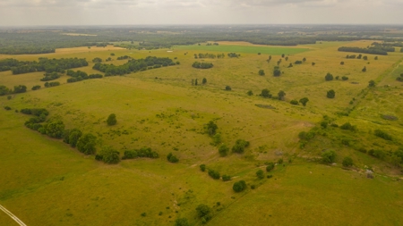 Farm & Ranch For Sale in Cedar County, MO - Auction - image 46