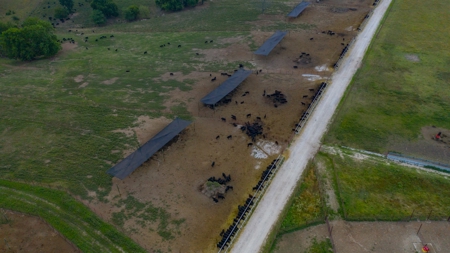 Farm & Ranch For Sale in Cedar County, MO - Auction - image 11