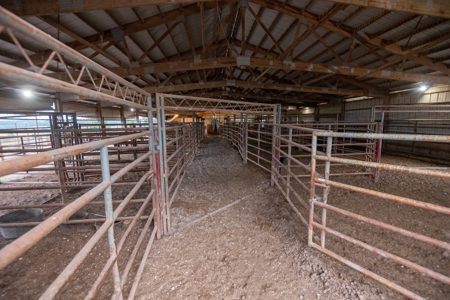 Farm & Ranch For Sale in Cedar County, MO - Auction - image 13