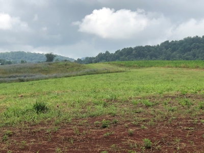.8 Acres Unrestricted Land in Rogersville, TN For Sale - image 1