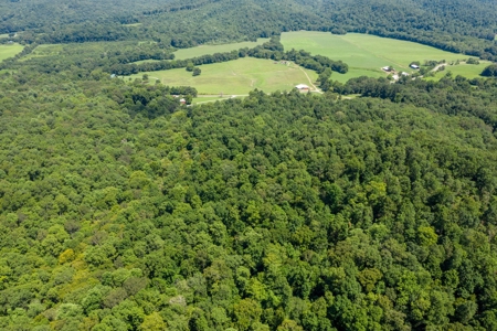 Tennessee Mini-Farm with Acreage & Hay Barn for Sale - image 44