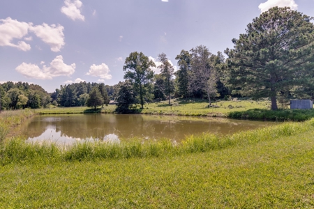 Tennessee Mini-Farm with Acreage & Hay Barn for Sale - image 41