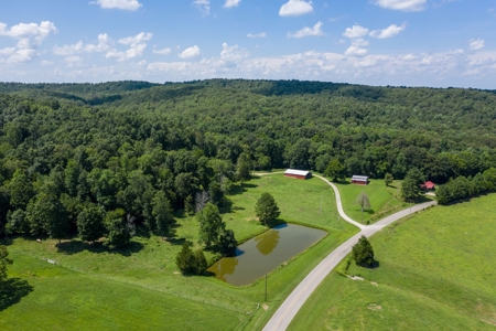 Tennessee Mini-Farm with Acreage & Hay Barn for Sale - image 4