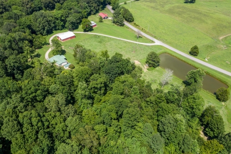 Tennessee Mini-Farm with Acreage & Hay Barn for Sale - image 45