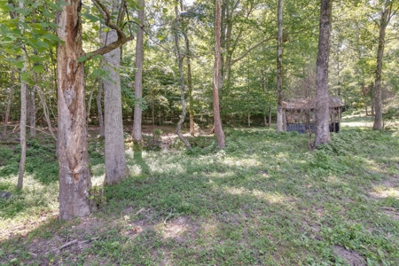Tennessee Mini-Farm with Acreage & Hay Barn for Sale - image 42