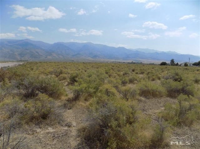 Vacant Land in Humboldt River Ranch Association - image 1