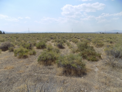 Vacant Land in Humboldt River Ranch Association - image 2