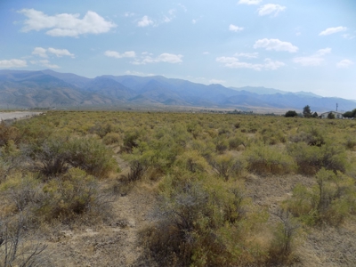 Vacant Land in Humboldt River Ranch Association - image 9