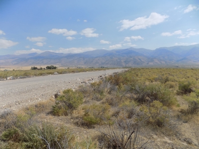 Vacant Land in Humboldt River Ranch Association - image 8