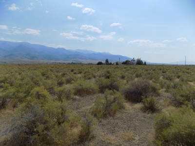 Vacant Land in Humboldt River Ranch Association - image 10