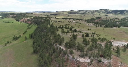 Black Hills Sd Ranch/Rec Land For Sale, Absolute Auction - image 11