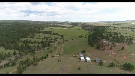 Black Hills Sd Ranch/Rec Land For Sale, Absolute Auction - image 5