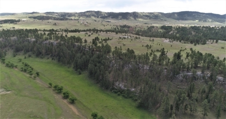 Black Hills Sd Ranch/Rec Land For Sale, Absolute Auction - image 7