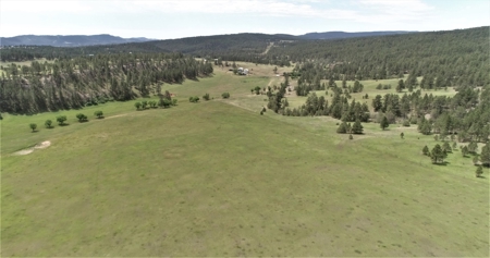Black Hills Sd Ranch/Rec Land For Sale, Absolute Auction - image 16