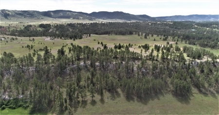 Black Hills Sd Ranch/Rec Land For Sale, Absolute Auction - image 13