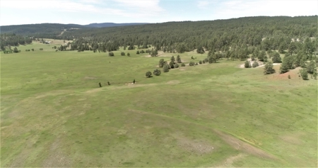 Black Hills Sd Ranch/Rec Land For Sale, Absolute Auction - image 14
