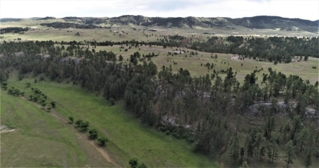 Black Hills Sd Ranch/Rec Land For Sale, Absolute Auction - image 15