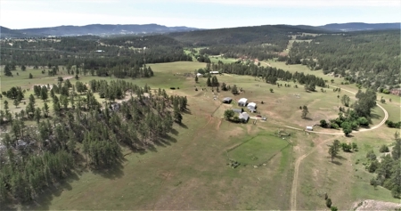 Black Hills Sd Ranch/Rec Land For Sale, Absolute Auction - image 6
