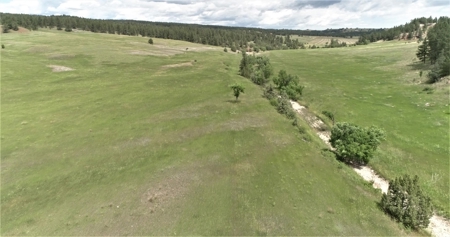 Black Hills Sd Ranch/Rec Land For Sale, Absolute Auction - image 1
