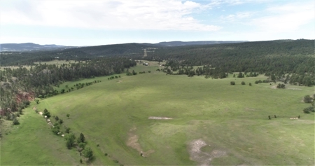 Black Hills Sd Ranch/Rec Land For Sale, Absolute Auction - image 4