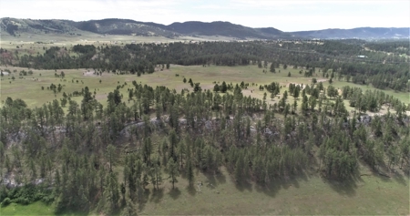 Black Hills Sd Ranch/Rec Land For Sale, Absolute Auction - image 8