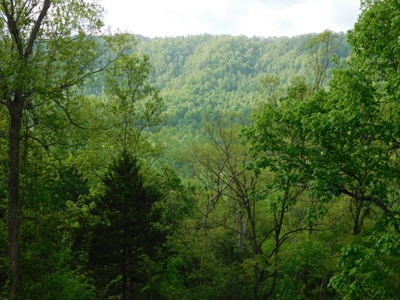Lot 4  Arkansas Ozark Mountains Newton Co Property For Sale - image 2