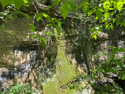 Lot 4  Arkansas Ozark Mountains Newton Co Property For Sale - image 3