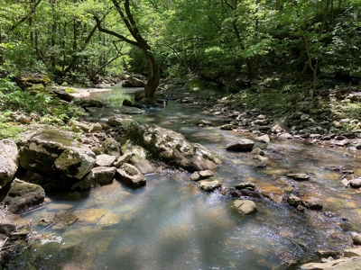 Lot 4  Arkansas Ozark Mountains Newton Co Property For Sale - image 6