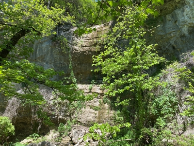 Lot 4  Arkansas Ozark Mountains Newton Co Property For Sale - image 7