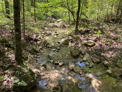 Lot 4  Arkansas Ozark Mountains Newton Co Property For Sale - image 8
