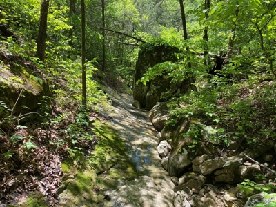 Lot 4  Arkansas Ozark Mountains Newton Co Property For Sale - image 5