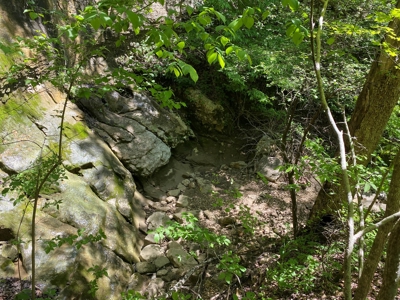 Lot 4  Arkansas Ozark Mountains Newton Co Property For Sale - image 4