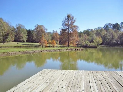 36 Acres, Off-grid Cabin with Lake for Sale Amite County, MS - image 14