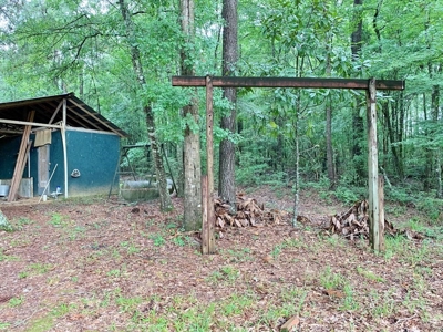 36 Acres, Off-grid Cabin with Lake for Sale Amite County, MS - image 27