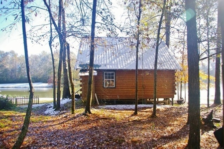 36 Acres, Off-grid Cabin with Lake for Sale Amite County, MS - image 5