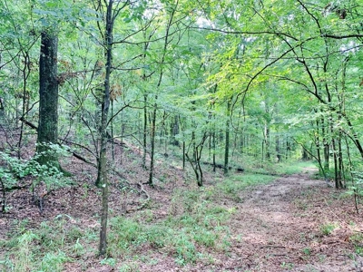 36 Acres, Off-grid Cabin with Lake for Sale Amite County, MS - image 39