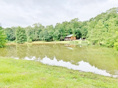 36 Acres, Off-grid Cabin with Lake for Sale Amite County, MS - image 1