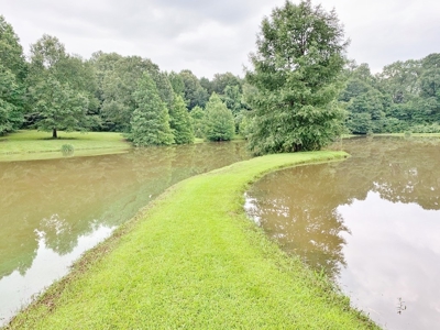 36 Acres, Off-grid Cabin with Lake for Sale Amite County, MS - image 25