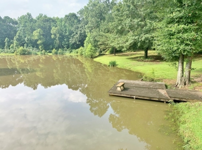 36 Acres, Off-grid Cabin with Lake for Sale Amite County, MS - image 29