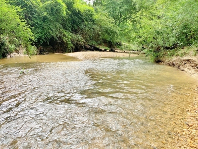 36 Acres, Off-grid Cabin with Lake for Sale Amite County, MS - image 32