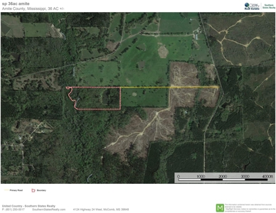 36 Acres, Off-grid Cabin with Lake for Sale Amite County, MS - image 42