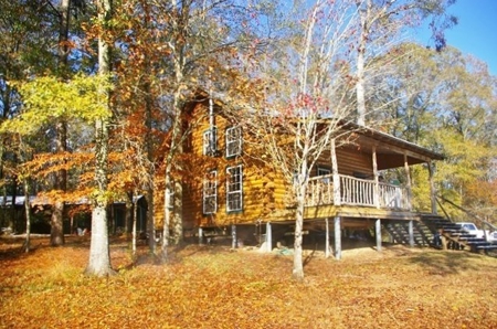 36 Acres, Off-grid Cabin with Lake for Sale Amite County, MS - image 4